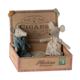 Myšky mamička a otecko v krabičke od cigar