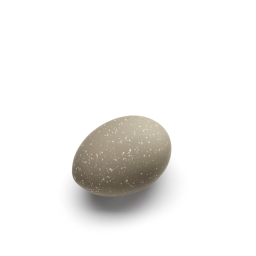 Dekoratívne vajíčka Cooee Sand - set 2 ks
