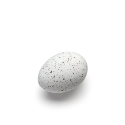 Dekoratívne vajíčka Cooee White - set 2 ks