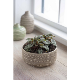 Obal na kvetináč Castelo Bowl Stone 20 cm