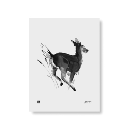 Plakát White-tailed Deer 30x40 cm