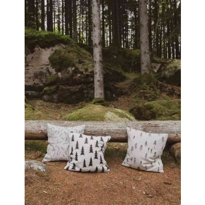                             Obliečka na vankúš Gran Nature 50x50 cm                        