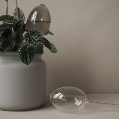                             Sklenená zavlažovacia banka Clear 25 cm                        