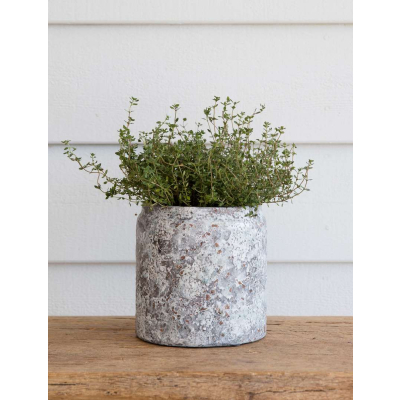                             Keramický kvetináč Withington Rustic Grey 15,5 cm                        
