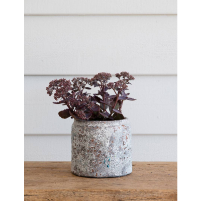                             Keramický kvetináč Withington Rustic Grey 14 cm                        