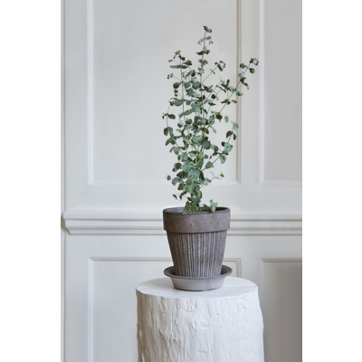                            Kvetináč Simona s podmiskou Raw Grey 18 cm                        