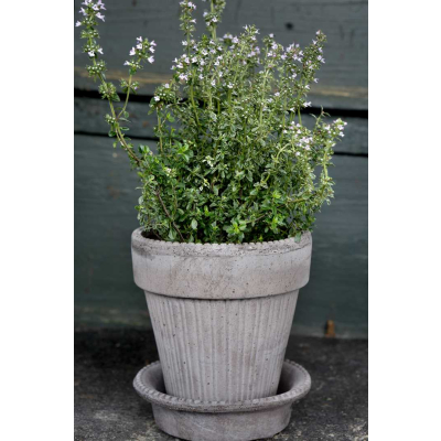                            Kvetináč Simona s podmiskou Raw Grey 18 cm                        
