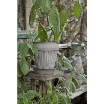                             Kvetináč Simona s podmiskou Raw Grey 16 cm                        
