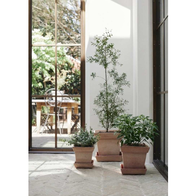                             Kvetináč s podmiskou Gaia Square Rosa 21 cm                        