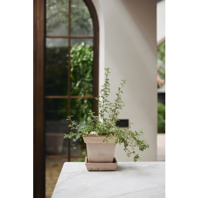                             Kvetináč s podmiskou Gaia Square Rosa 21 cm                        