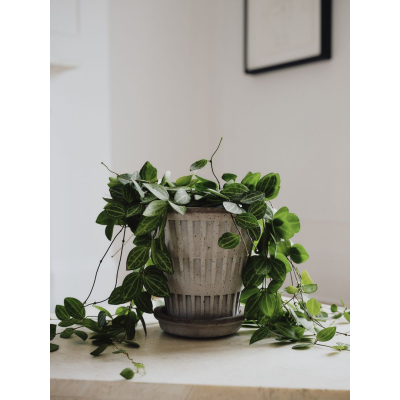                             Kvetináč Pantheon s podmiskou Raw Grey 18 cm                        