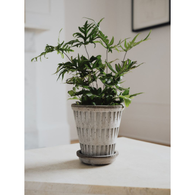                             Kvetináč Pantheon s podmiskou Raw Grey 18 cm                        
