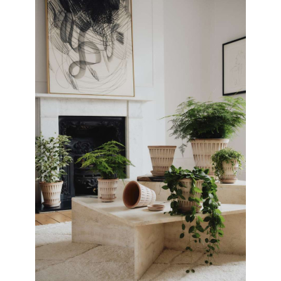                             Kvetináč Pantheon s podmiskou Raw Rosa 18 cm                        