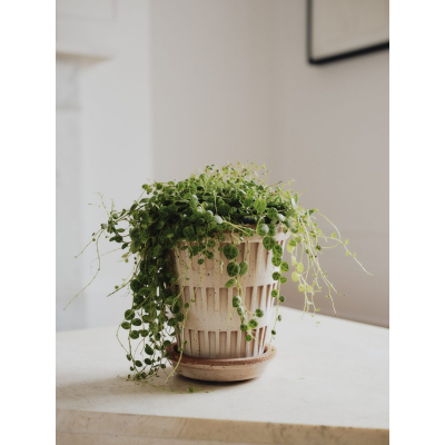                            Kvetináč Pantheon s podmiskou Raw Rosa 18 cm                        