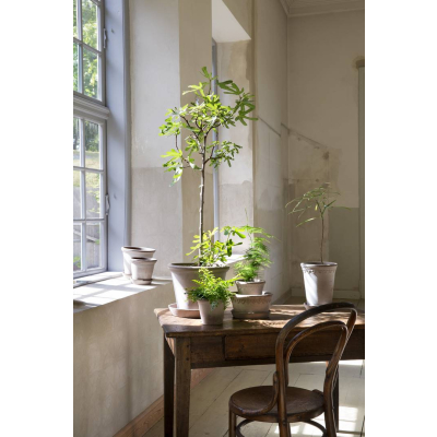                             Kvetináč Kobenhavner s podmiskou Grey Tall 14 cm                        