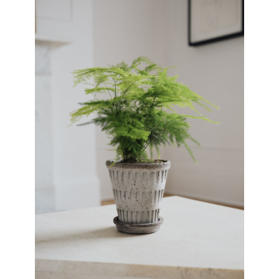                             Kvetináč Pantheon s podmiskou Raw Grey 16 cm                        