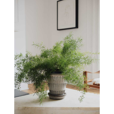                             Kvetináč Pantheon s podmiskou Raw Grey 16 cm                        