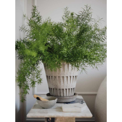                             Kvetináč Pantheon s podmiskou Raw Grey 16 cm                        