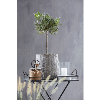                             Svietnik s betónovou základňou Siri 8,5x10 cm                        