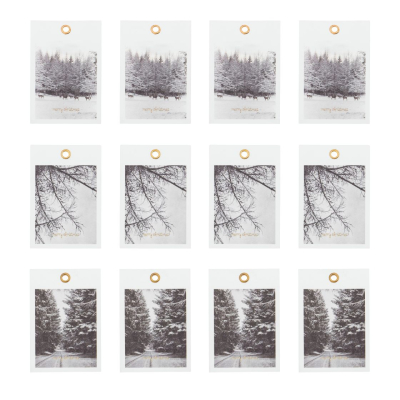 Menovky na darčeky White Winter - 12 ks                    