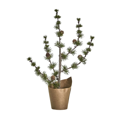 Vianočný stromček Cedar 40 cm                    