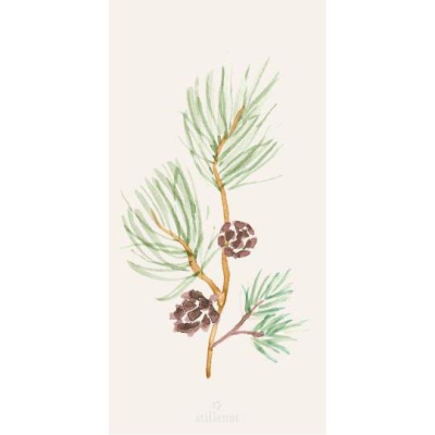 Papierové obrúsky Pine Branch - 16 ks                    