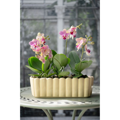                             Kvetináč Edna Oval Light Yellow 30 cm                        