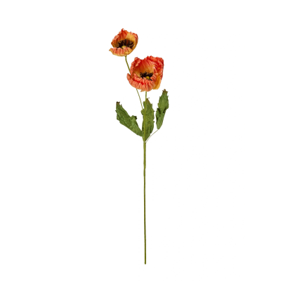 Vlčí mak Poppy Orange                    