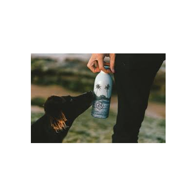                             Nerezová termo fľaša Clima Palm Grove 500ml                        