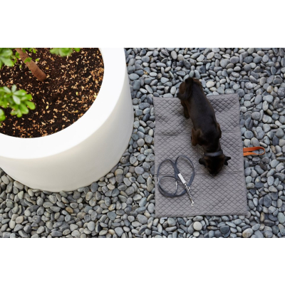                             Cestovná deka pre psov Cosmo sivá S                        