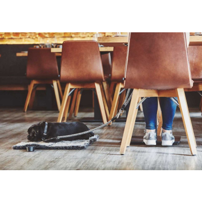                             Cestovná deka pre psov Cosmo S                        