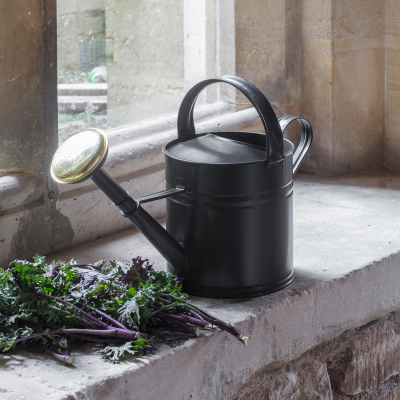 Záhradná kanva Watering Carbon 5 l                    