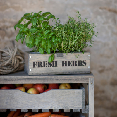                             Drevená debnička s kvetináčmi Fresh Herbs                        