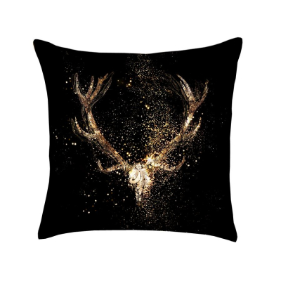 Dekoračný vankúš Oracle veľký                    