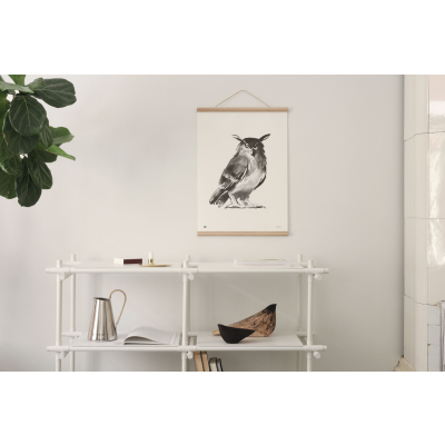                             Plagát Sova veľký 50x70 cm                        