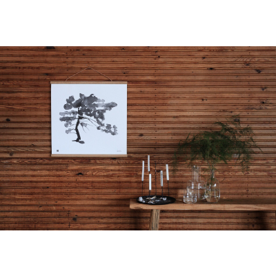                             Plagát Borovica veľká 50x50 cm                        