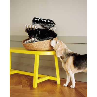                             Bavlnený uterák Kaksi Raitaa mini 30x30 cm                        