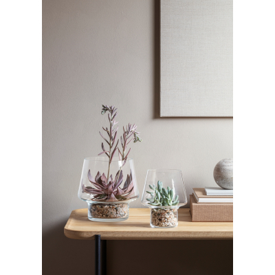                             Sklenená váza na sukulenty Succulent Vase 15 cm                        