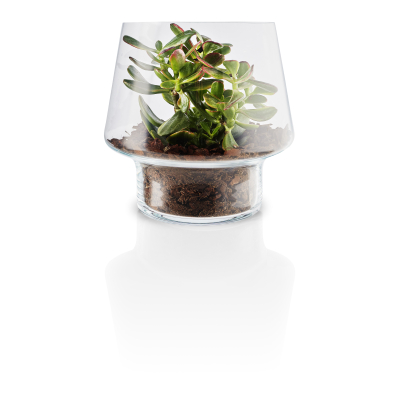 Sklenená váza na sukulenty Succulent Vase 21 cm                    