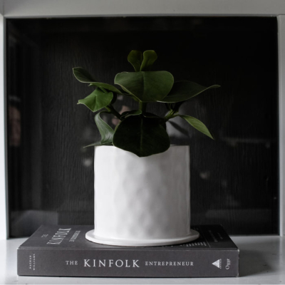                             Keramický kvetináč Viksberg White 17 cm                        