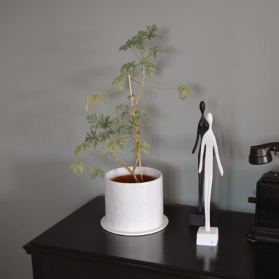                             Keramický kvetináč Viksberg White 14 cm                        