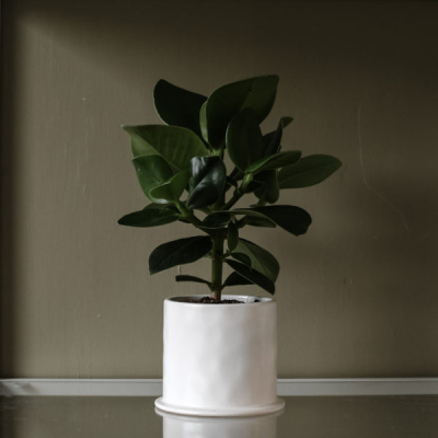                             Keramický kvetináč Viksberg White 14 cm                        