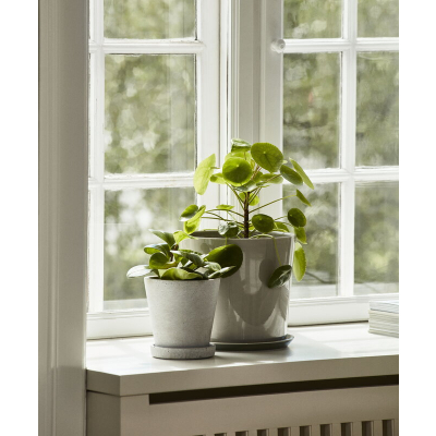                             Keramický kvetináč s podmiskou Botanical Grey XL                        